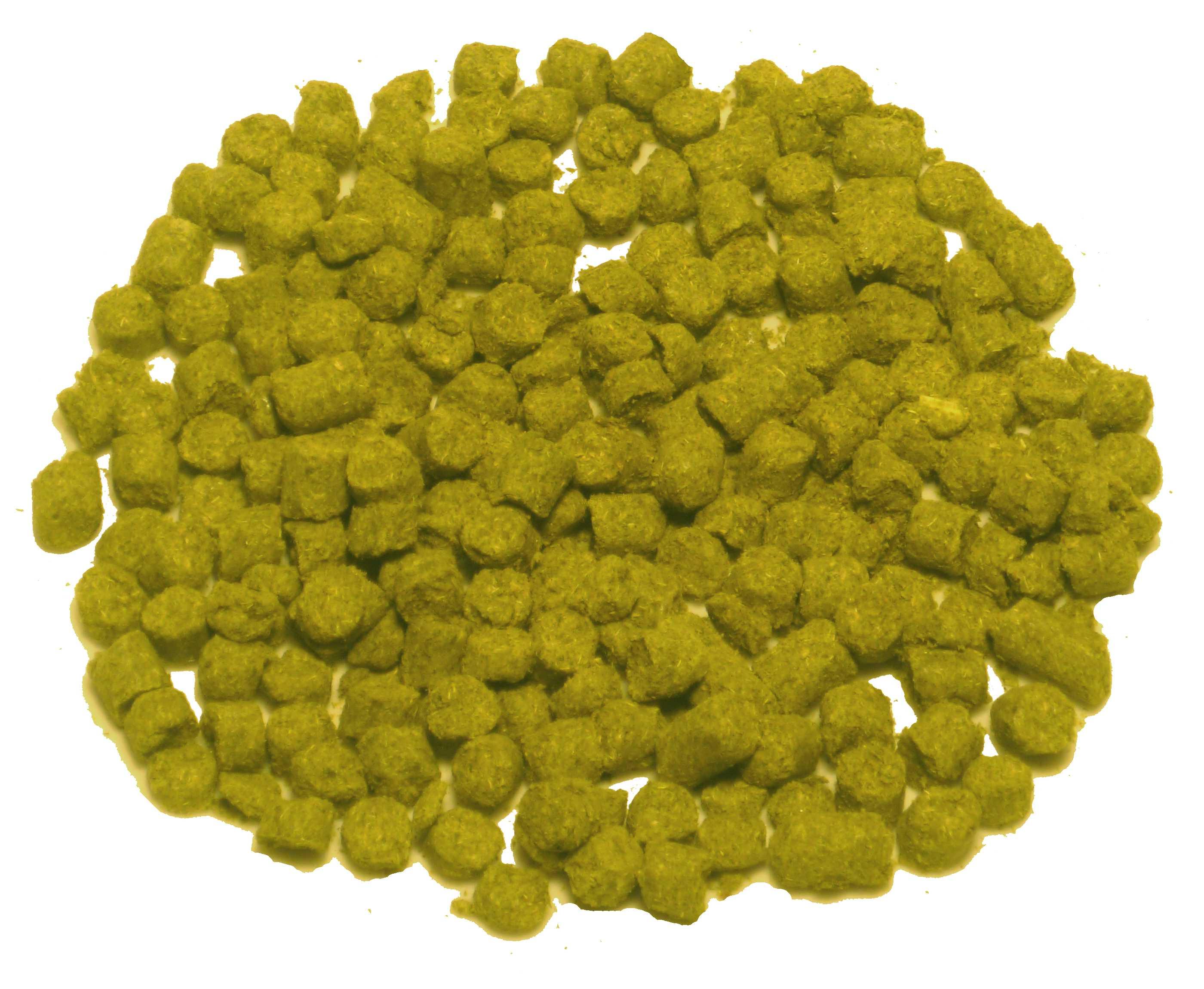 Chmel FUGGLES 30g