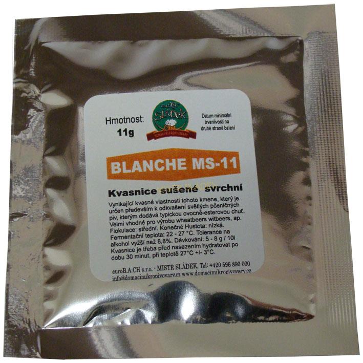 BLANCHE MS-11